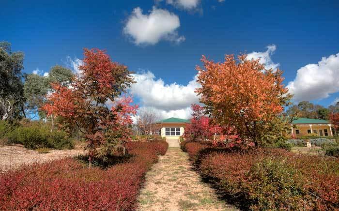 Accommodation Creek Cottages & Sundown View Suites Ballandean المظهر الخارجي الصورة
